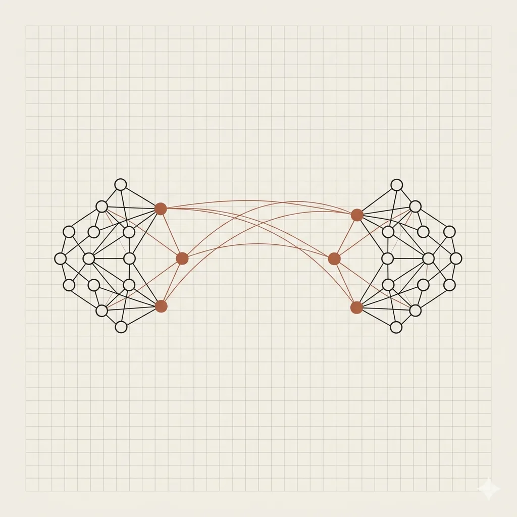 Abstract network connecting two culturally distinct clusters of nodes